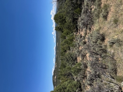 Off Grid Cabin or RV Land for Sale near Rio Chama Wildlife Area - image 8