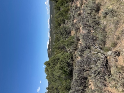 Off Grid Cabin or RV Land for Sale near Rio Chama Wildlife Area - image 6