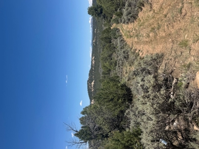 Off Grid Cabin or RV Land for Sale near Rio Chama Wildlife Area - image 1