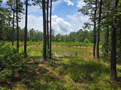 Mountain Cabin with Acreage for Sale in Clayton, Oklahoma - image 22