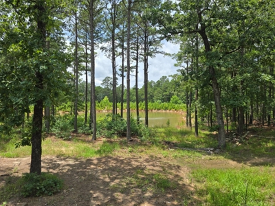 Mountain Cabin with Acreage for Sale in Clayton, Oklahoma - image 3