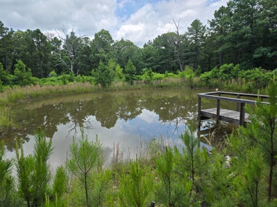 Mountain Cabin with Acreage for Sale in Clayton, Oklahoma - image 4