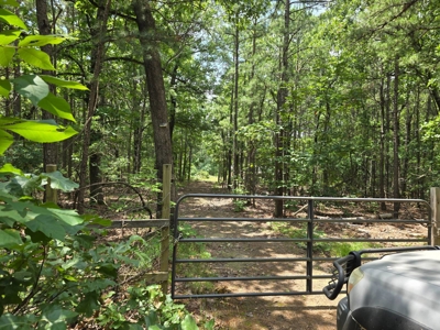 Mountain Cabin with Acreage for Sale in Clayton, Oklahoma - image 21