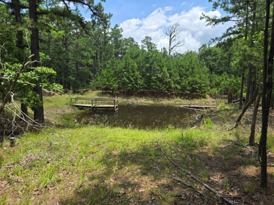 Cabin with Acreage for Sale in Clayton, Oklahoma - image 4