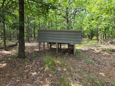 Cabin with Acreage for Sale in Clayton, Oklahoma - image 2