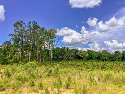 Land for Sale in Amite County, MS - image 11