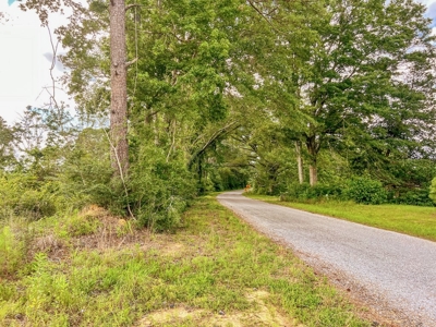 Land for Sale in Amite County, MS - image 5