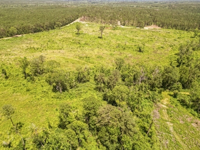 Land for Sale in Amite County, MS - image 2