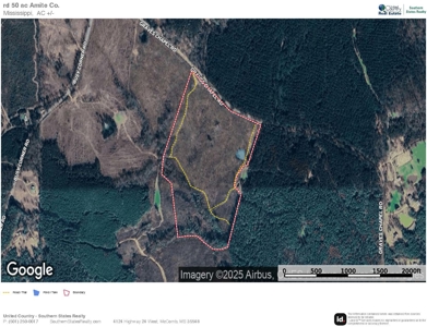 Land for Sale in Amite County, MS - image 18