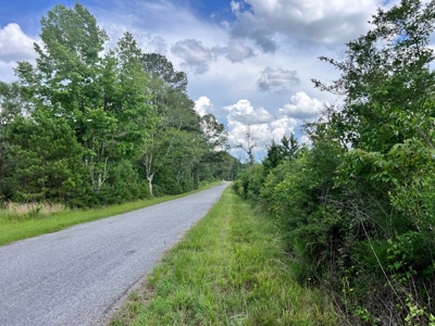 Land for Sale in Amite County, MS - image 4