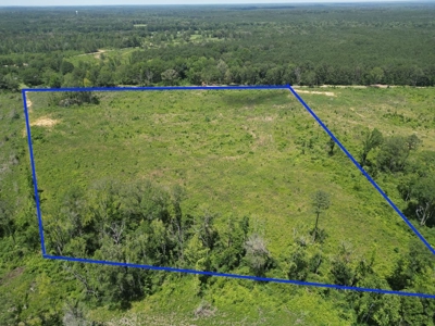 Land for Sale in Amite County, MS - image 1