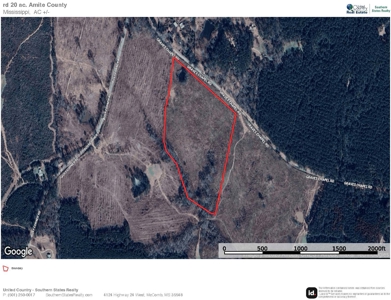Land for Sale in Amite County, MS - image 12