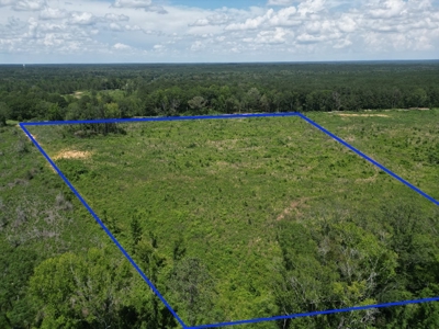 Land for Sale in Amite County, MS - image 2