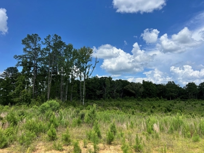 Land for Sale in Amite County, MS - image 6