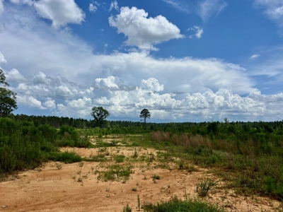 Land for Sale in Amite County, MS - image 7