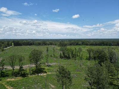 Land for Sale in Amite County, MS - image 3