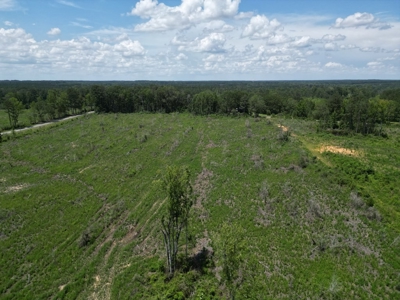 Land for Sale in Amite County, MS - image 5