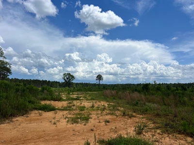Land for Sale in Amite County, MS - image 9