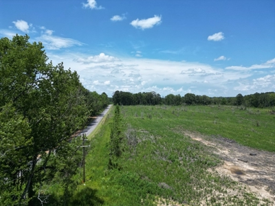 Land for Sale in Amite County, MS - image 2