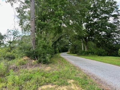 Land for Sale in Amite County, MS - image 6