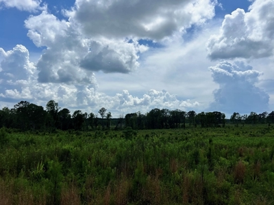 Land for Sale in Amite County, MS - image 10