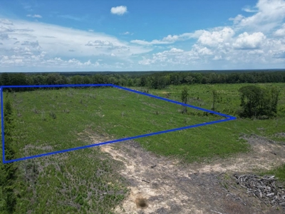Land for Sale in Amite County, MS - image 1