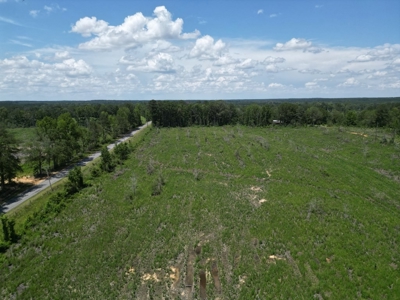 Land for Sale in Amite County, MS - image 4