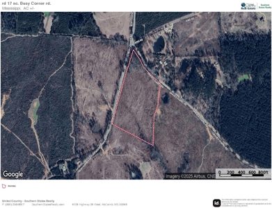 Land for Sale in Amite County, MS - image 17