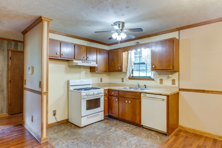 Live Auction in Marshall County Lewisburg TN - image 10