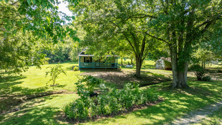 Live Auction in Marshall County Lewisburg TN - image 34