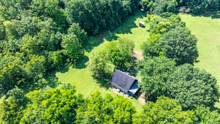 Live Auction in Marshall County Lewisburg TN - image 44