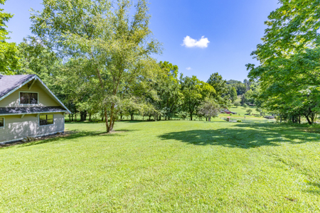 Live Auction in Marshall County Lewisburg TN - image 30