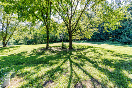 Live Auction in Marshall County Lewisburg TN - image 27