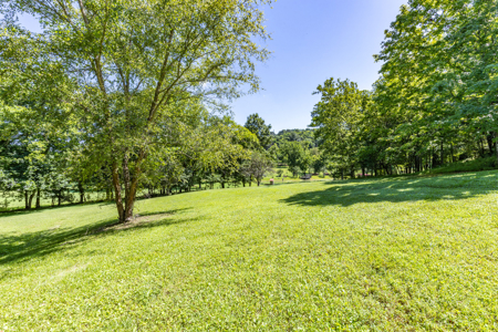 Live Auction in Marshall County Lewisburg TN - image 28
