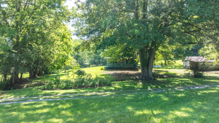 Live Auction in Marshall County Lewisburg TN - image 35