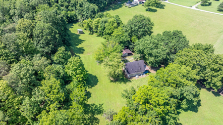 Live Auction in Marshall County Lewisburg TN - image 45