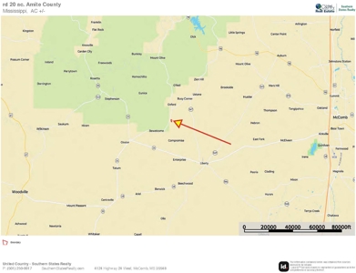 Land for Sale in Amite County, MS - image 13