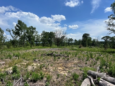 Land for Sale in Amite County, MS - image 9