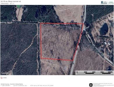 Land for Sale in Amite County, MS - image 14
