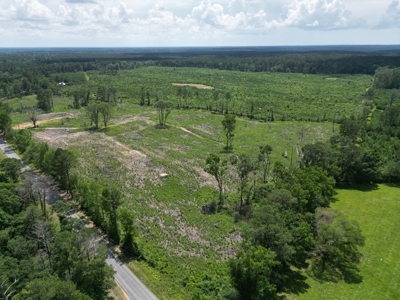 Land for Sale in Amite County, MS - image 2