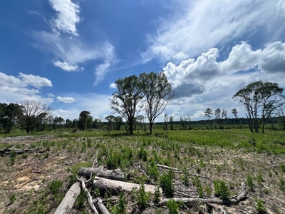 Land for Sale in Amite County, MS - image 8