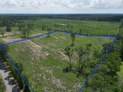 Land for Sale in Amite County, MS - image 1