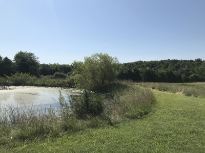 Acreage with Home for Sale in Crawford County, MO - image 3