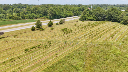 Land for Sale in West TN with Farming & Commercial Opportunities - image 25