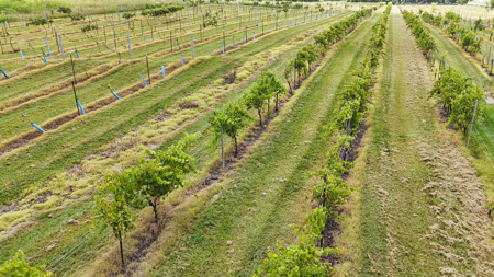 Land for Sale in West TN with Farming & Commercial Opportunities - image 38