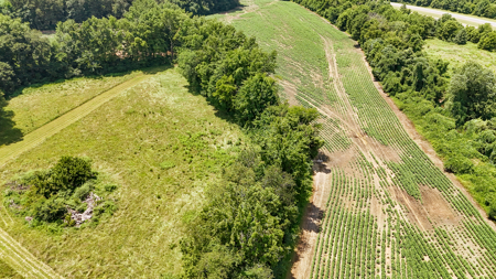 Land for Sale in West TN with Farming & Commercial Opportunities - image 21
