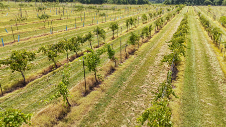 Land for Sale in West TN with Farming & Commercial Opportunities - image 39