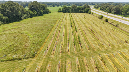 Land for Sale in West TN with Farming & Commercial Opportunities - image 26