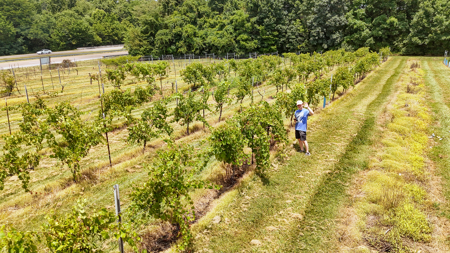 Land for Sale in West TN with Farming & Commercial Opportunities - image 42