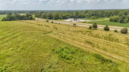 Land for Sale in West TN with Farming & Commercial Opportunities - image 18
